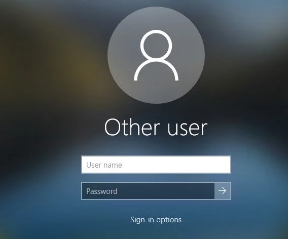 Windows login screen